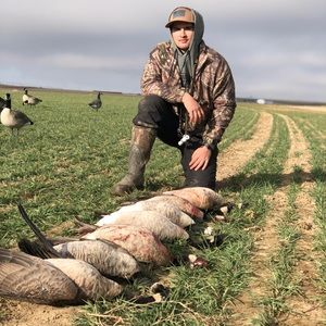 Meet your Posher, Gilbert